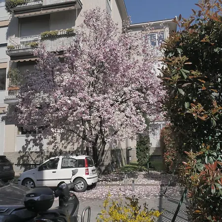 Garden Flat Apartment *
